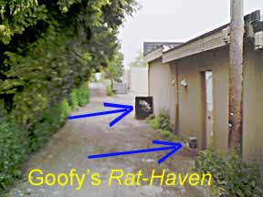 Rat Heaven